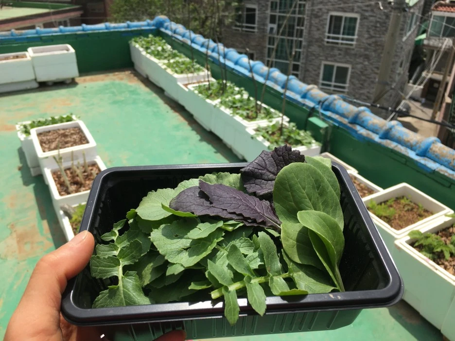 20210514_1522.JPG?type=w1