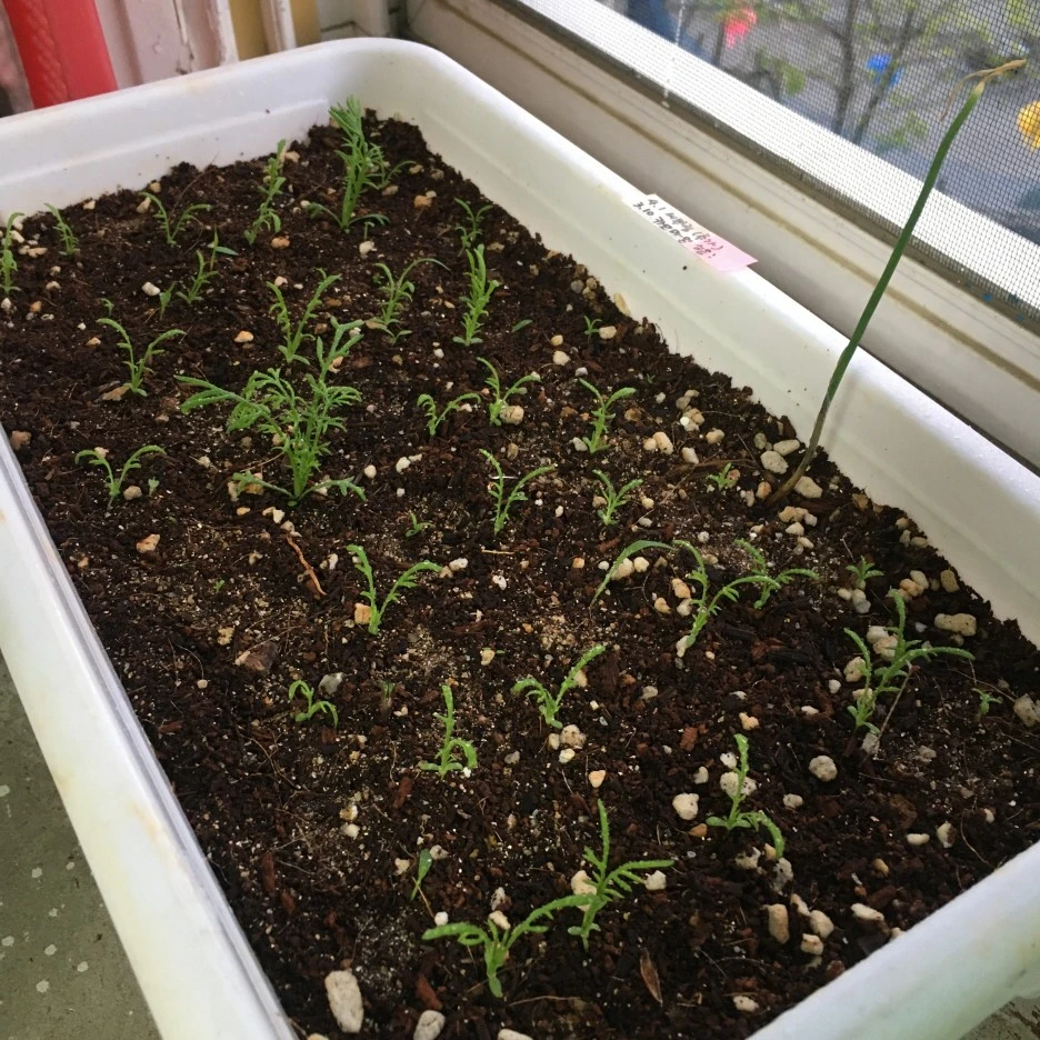 20210425_1067.JPG?type=w1