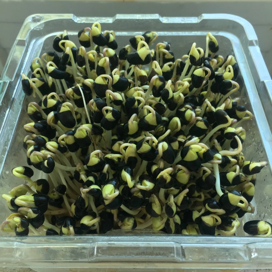 20210420_2869.JPG?type=w1