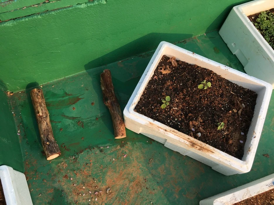 20210410_0722.JPG?type=w1