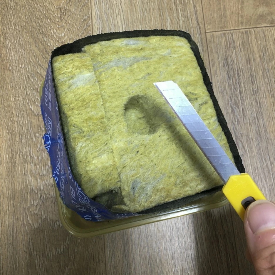 20210310_0127.jpg?type=w1