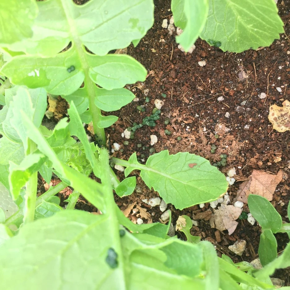 20210515_1538.JPG?type=w1