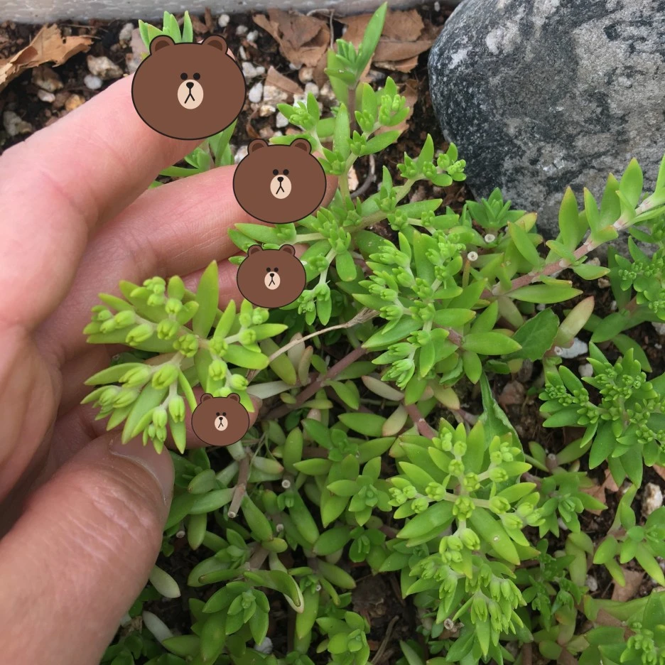 SE-2519d0b3-c242-4f89-926f-e61ebd71ba2e.jpg?type=w1