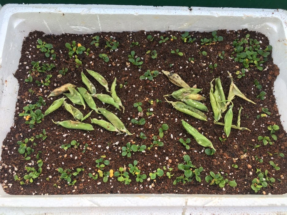 20210424_1027.JPG?type=w1