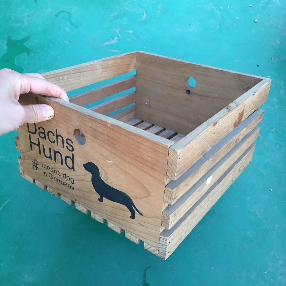 20210512_1439.JPG?type=w1