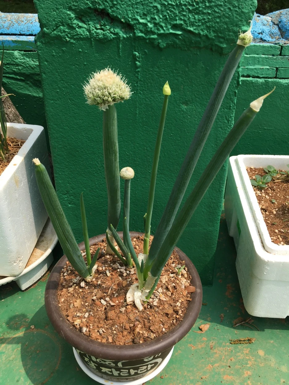 20210429_1192.JPG?type=w1