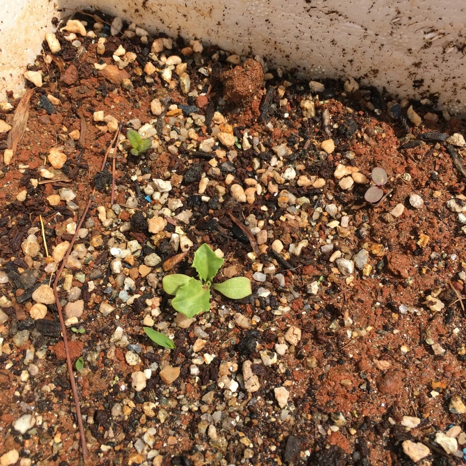 20210413_0982.JPG?type=w1