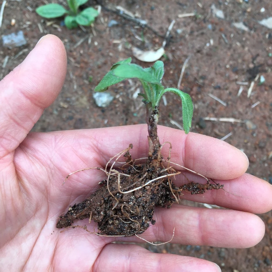 20210413_0987.JPG?type=w1