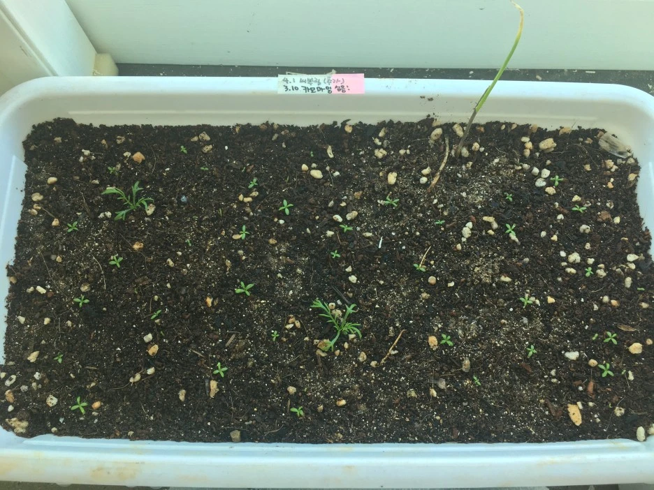 20210418_2835.JPG?type=w1