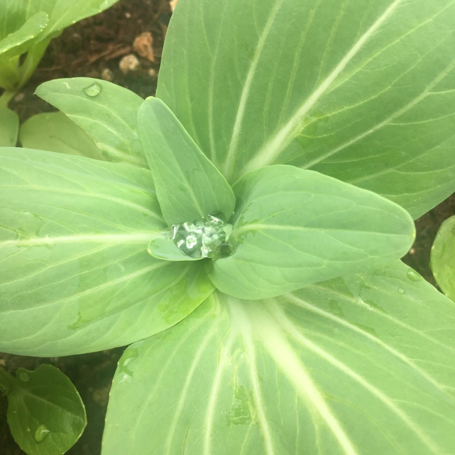 20210515_1561.JPG?type=w1