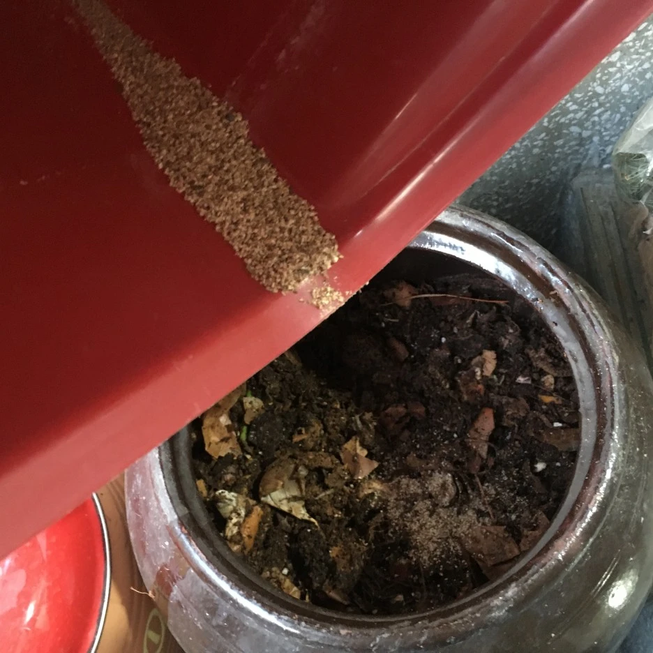 20210324_0281.JPG?type=w1