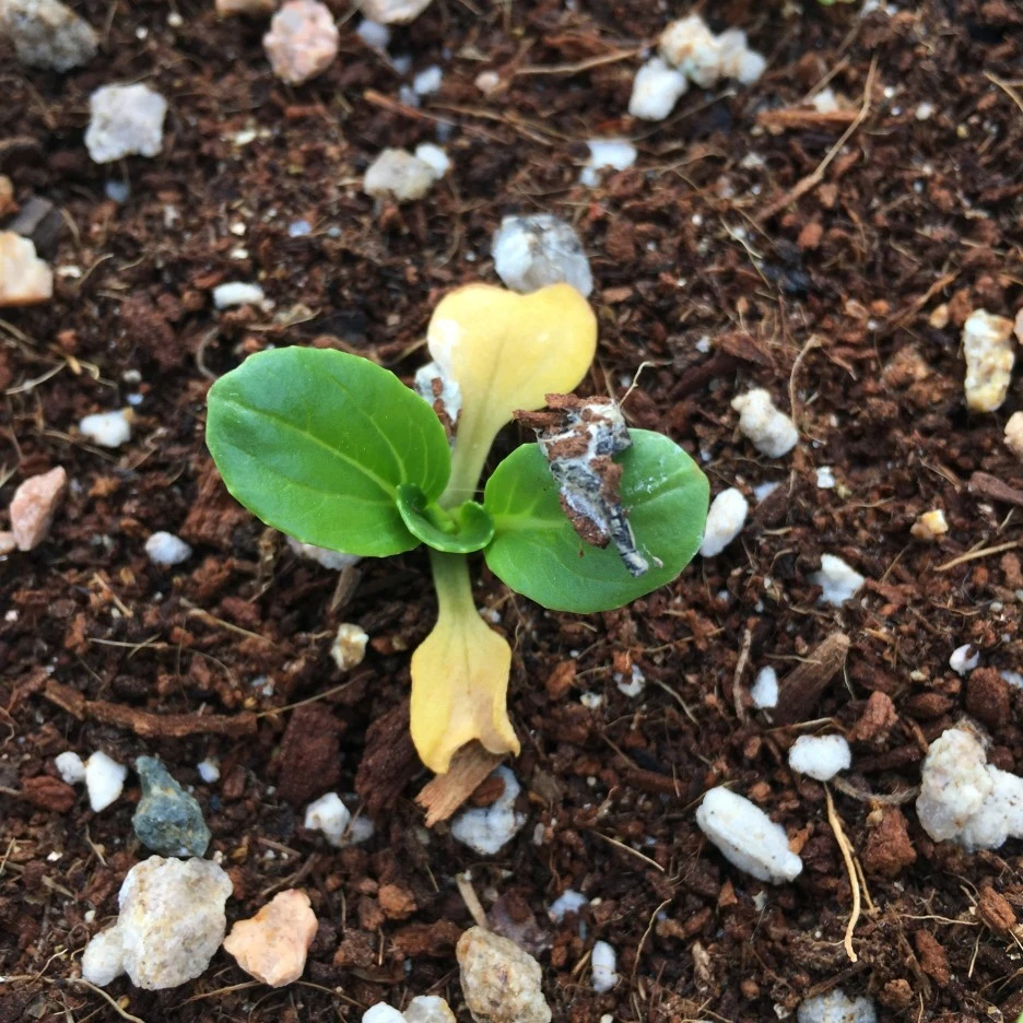 20210513_1459.JPG?type=w1