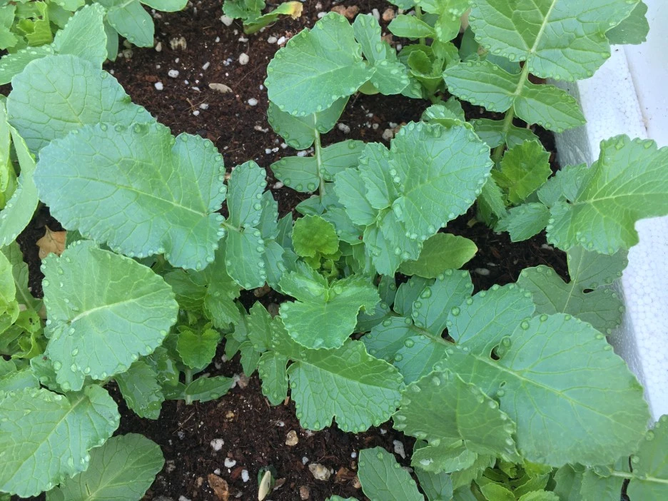 20210513_1454.JPG?type=w1