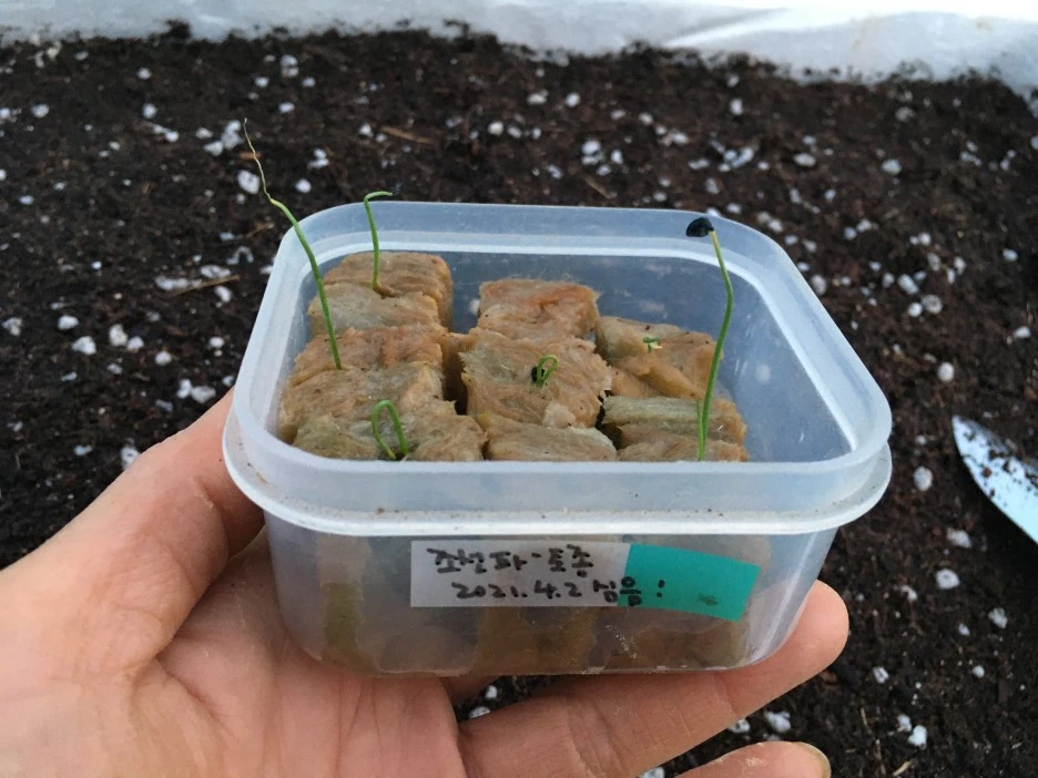 20210428_1173.JPG?type=w1