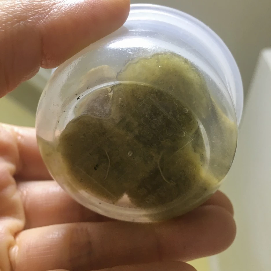 20210304_0076.jpg?type=w1