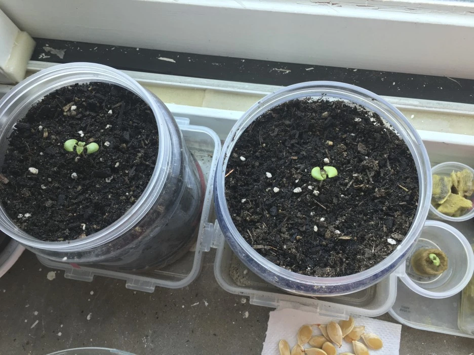 20210314_0185.jpg?type=w1