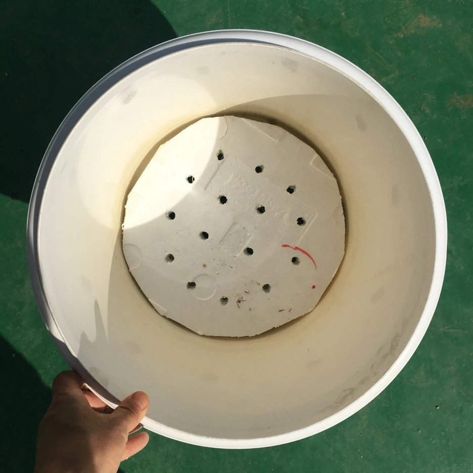 20210415_1099.JPG?type=w1