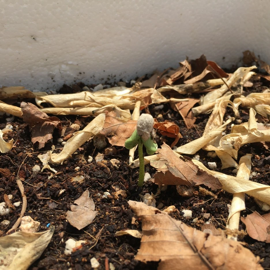 20210514_1515.JPG?type=w1