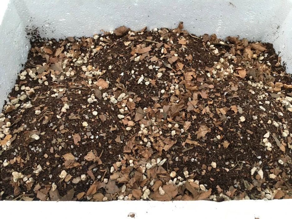 20210427_1125.JPG?type=w1