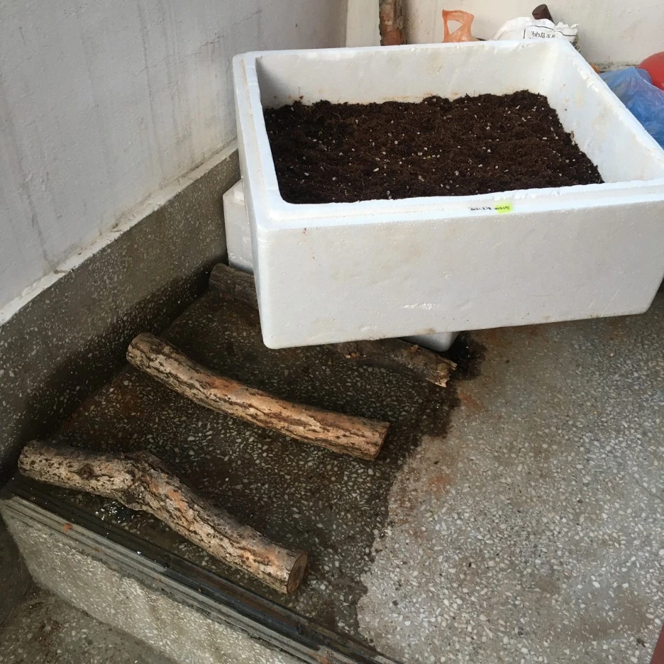 20210324_0282.JPG?type=w1