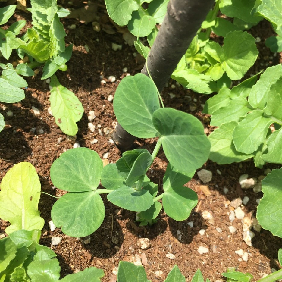 20210514_1506.JPG?type=w1