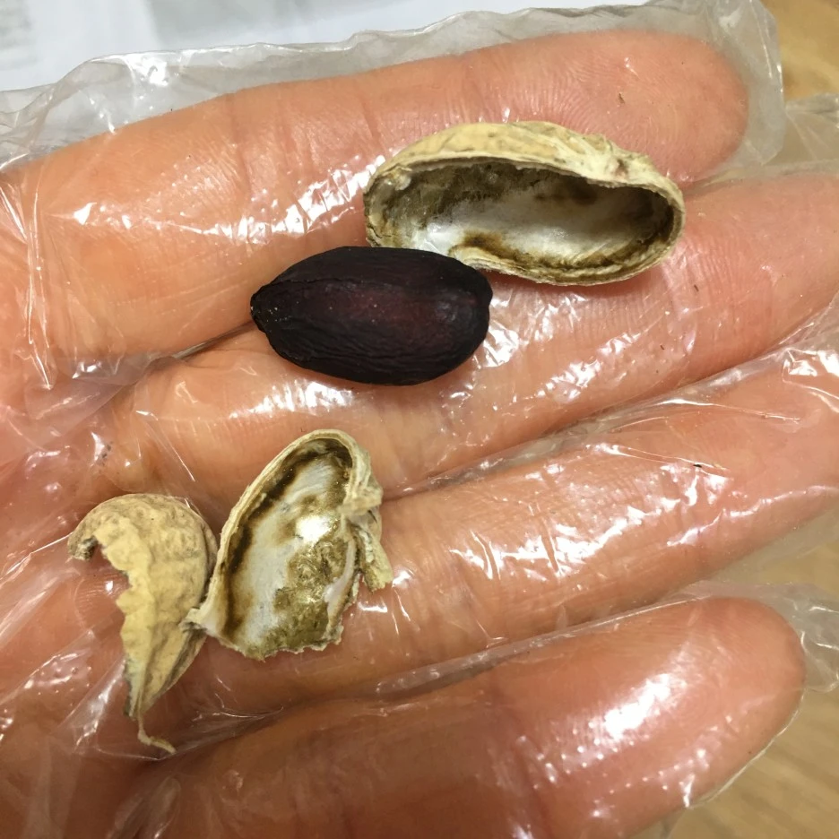 20210408_0597.JPG?type=w1