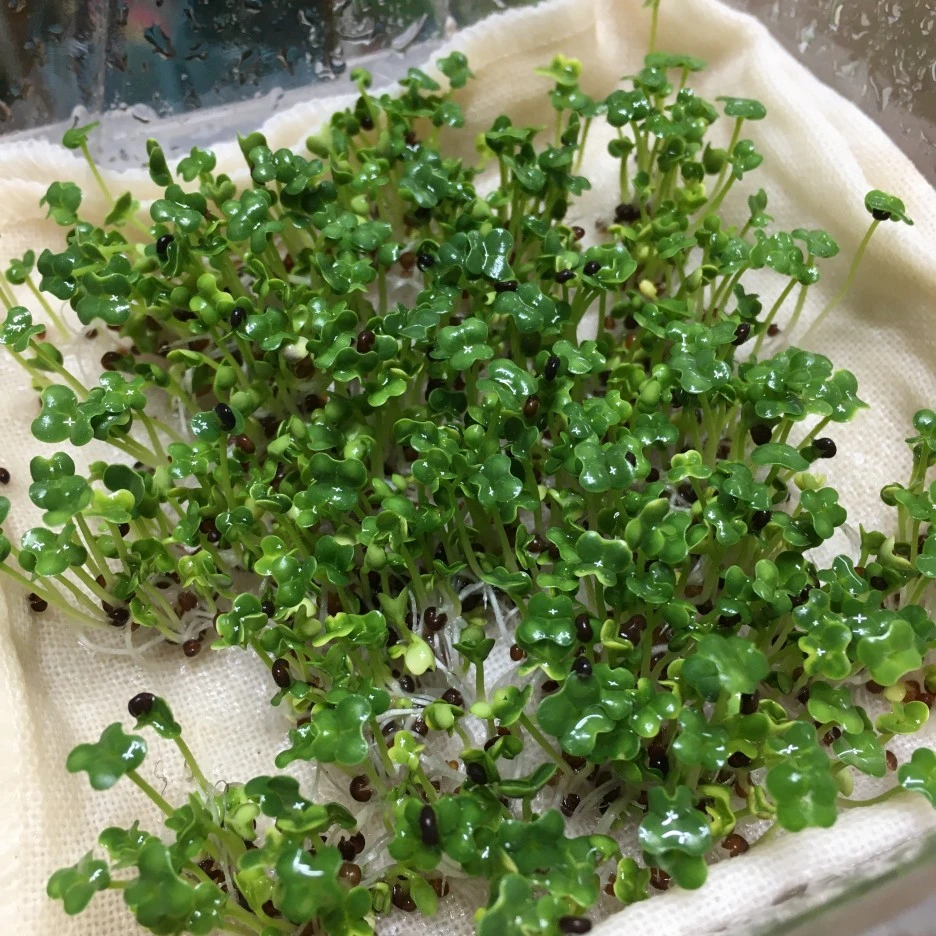 20210428_1185.JPG?type=w1