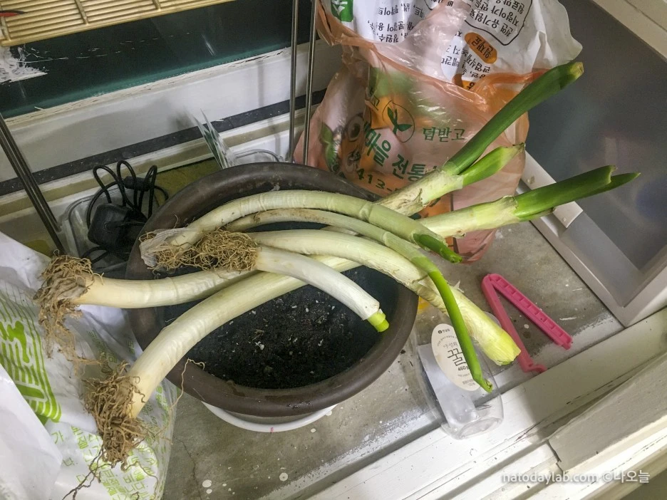 20210211--5.jpg?type=w1