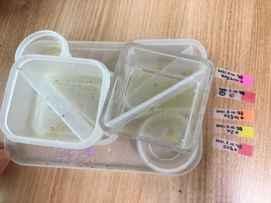 20210403_0526.JPG?type=w1