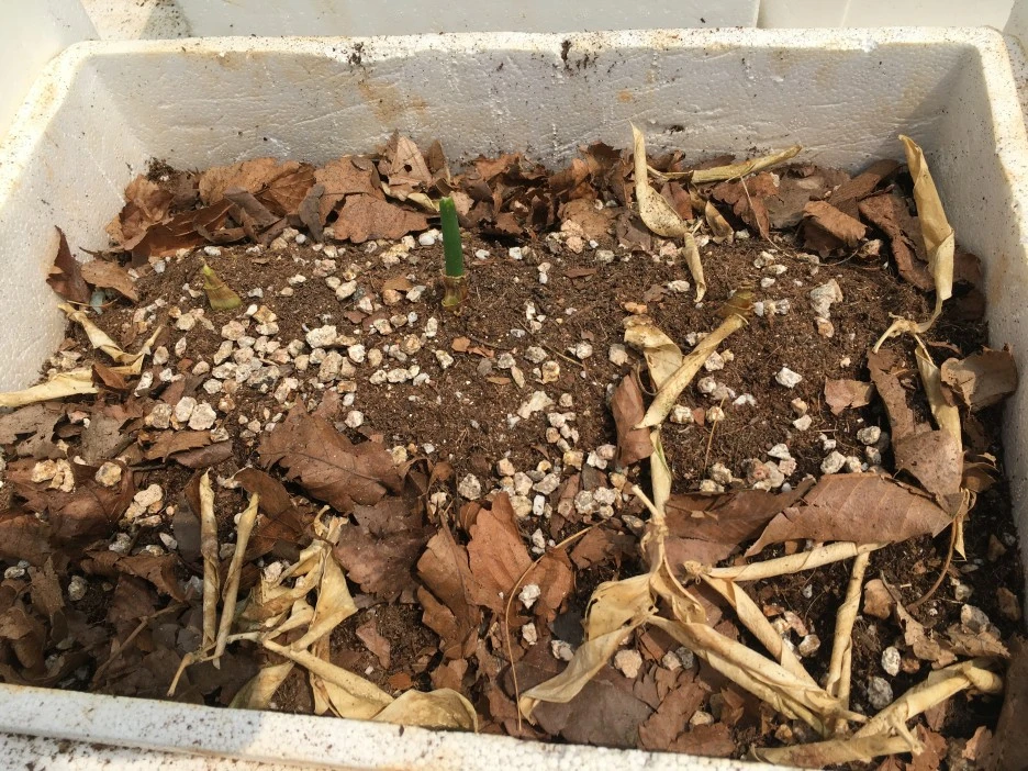 20210429_1190.JPG?type=w1