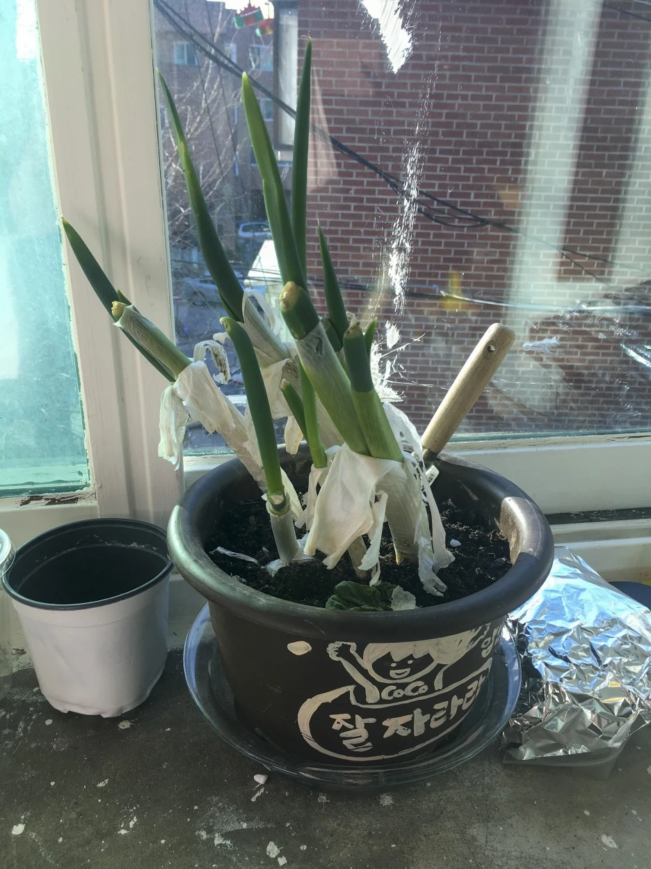 20210305_0081.jpg?type=w1