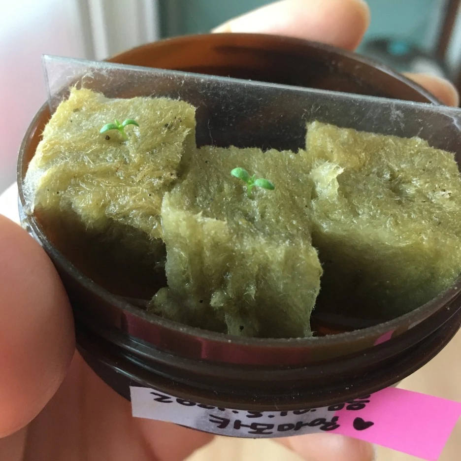 20210328_0372.JPG?type=w1