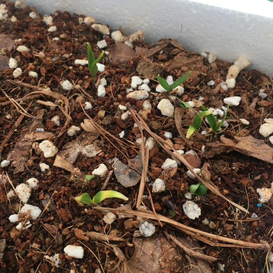 20210422_0948.JPG?type=w1