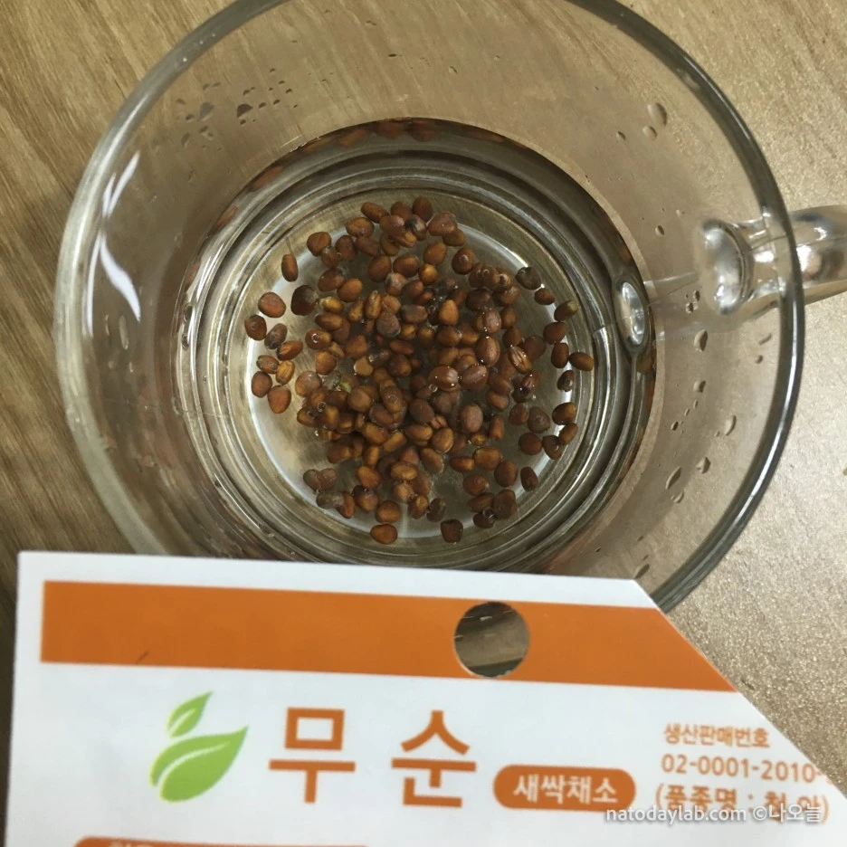 20210318--%EB%82%A0%EC%A7%9C-7.jpg?type=w1