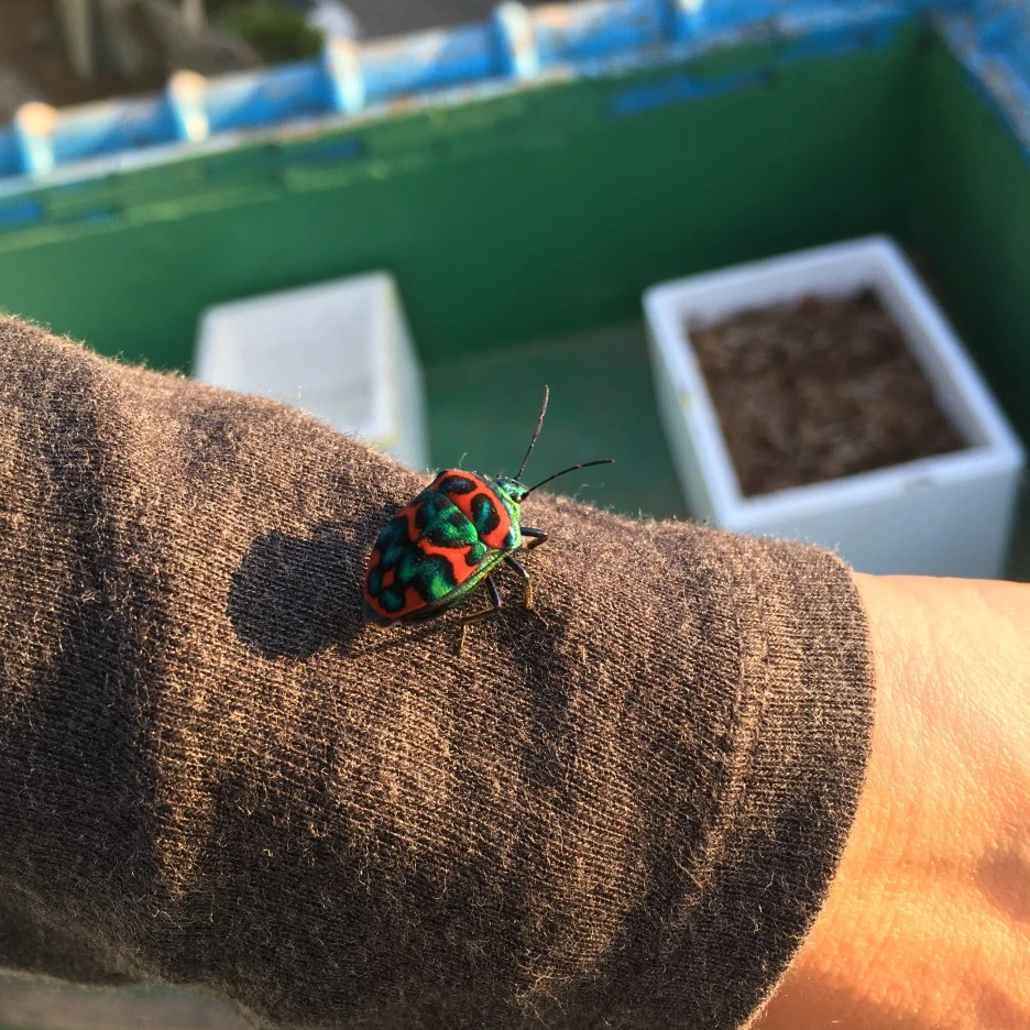 20210425_1056.JPG?type=w1