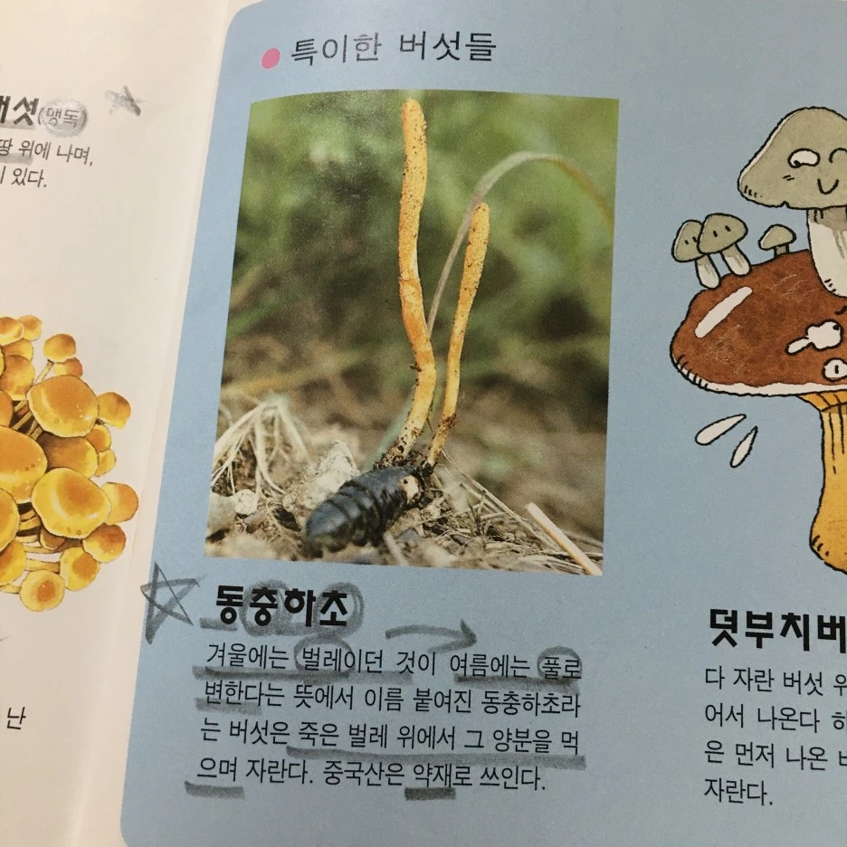 20210512_1450.JPG?type=w1