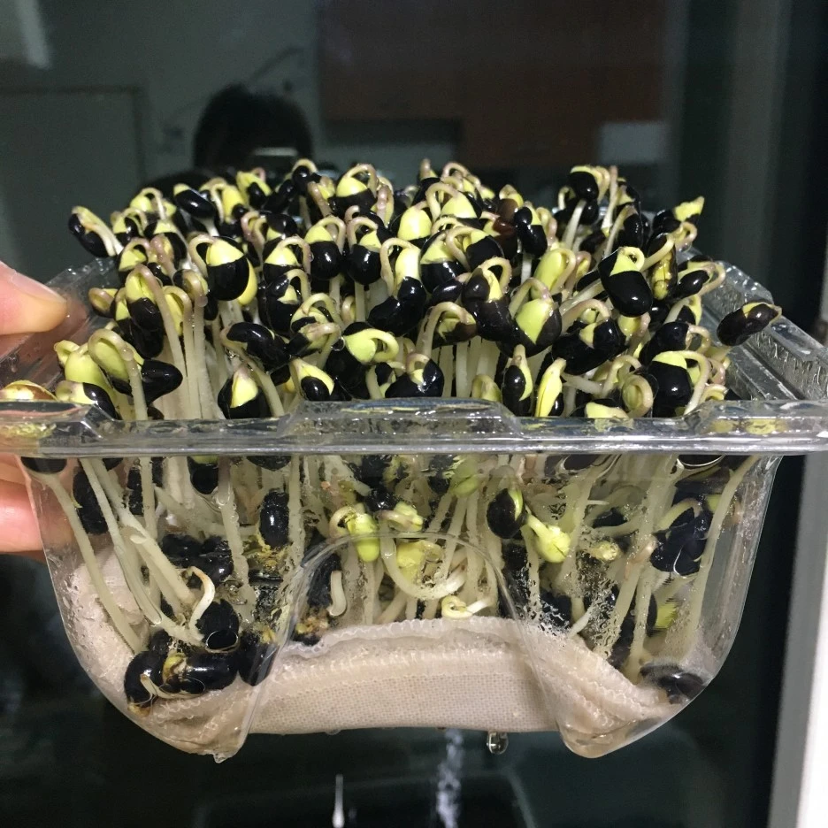 20210420_2877.JPG?type=w1