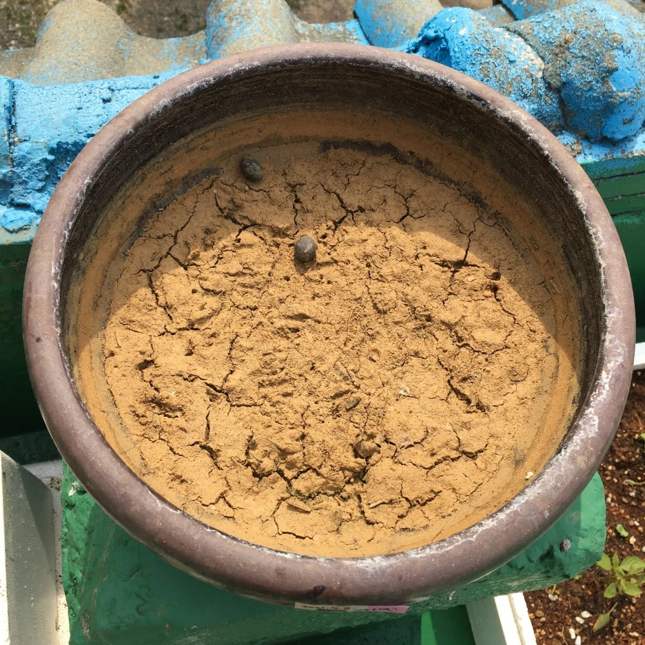 20210514_1482.JPG?type=w1