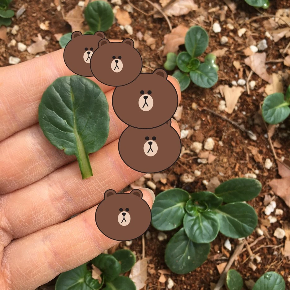 SE-9a46bb5a-cab5-458b-8210-3276a96b3ceb.jpg?type=w1