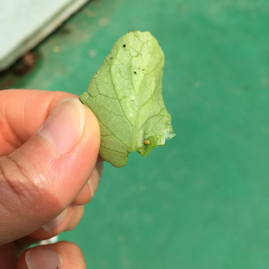 20210518_1637.JPG?type=w1