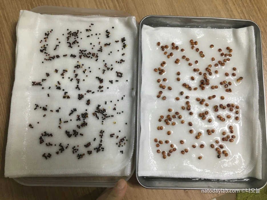 20210318--%EB%82%A0%EC%A7%9C-11.jpg?type=w1