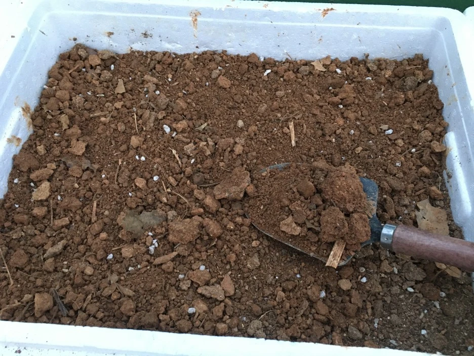 20210411_0934.JPG?type=w1