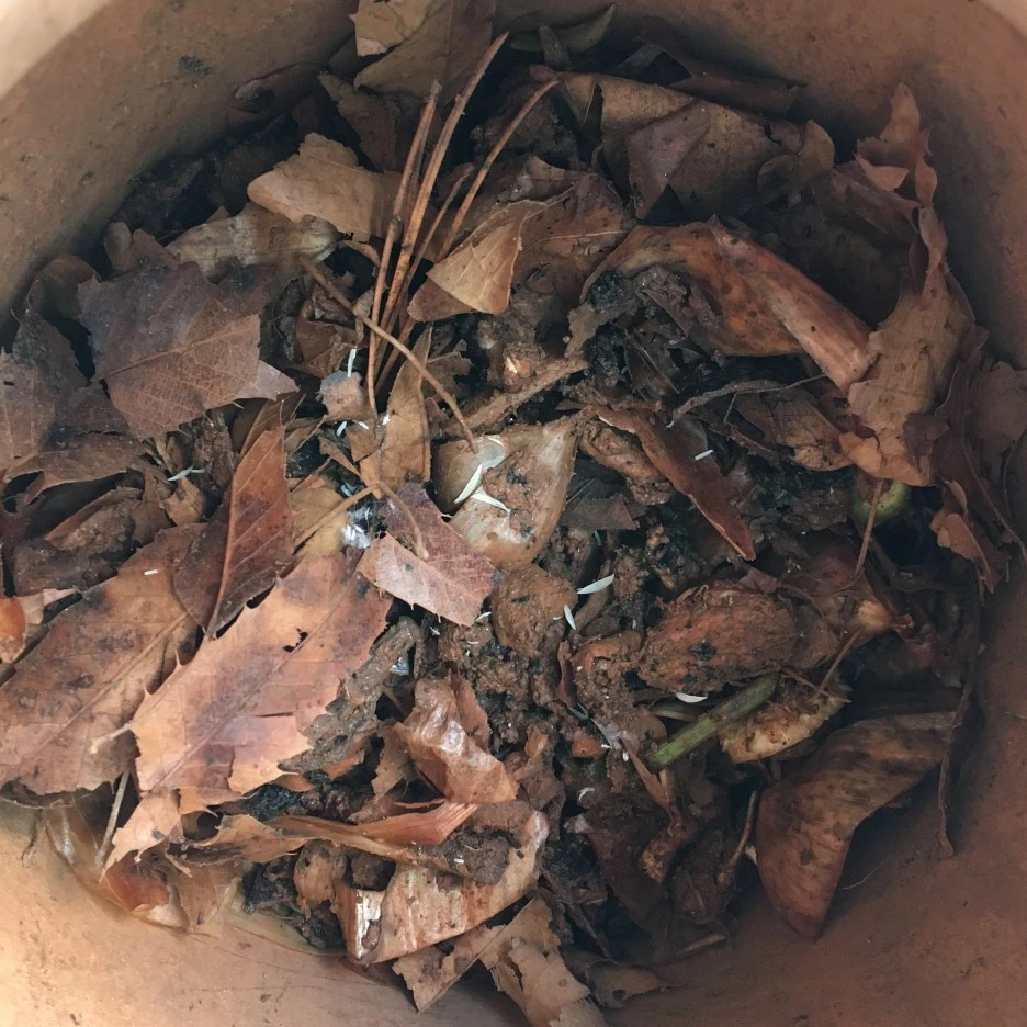 20210331_0416.JPG?type=w1