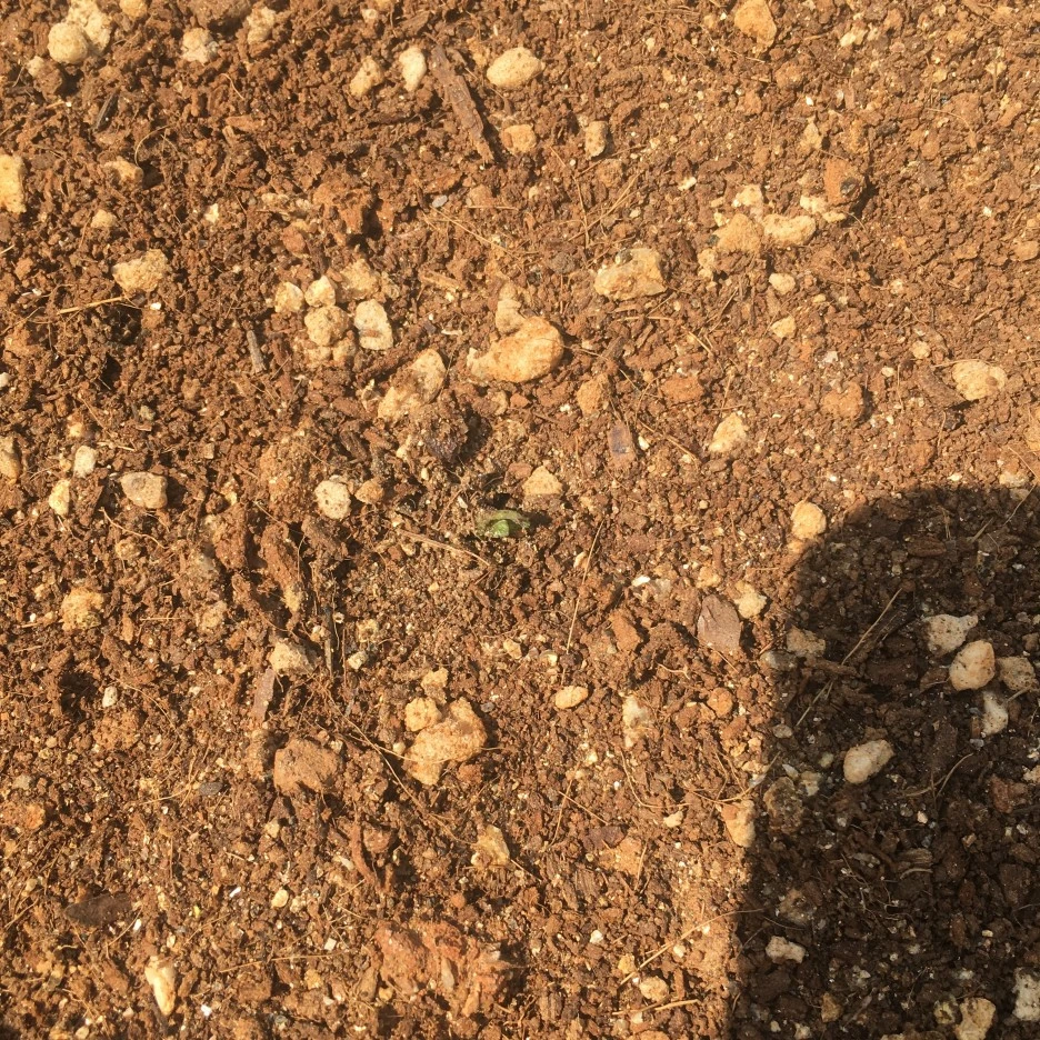 20210420_2864.JPG?type=w1