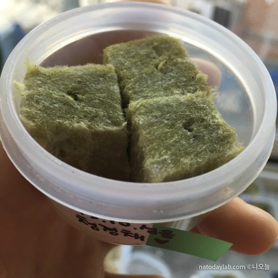 20210317--%EB%82%A0%EC%A7%9C-3.jpg?type=w1