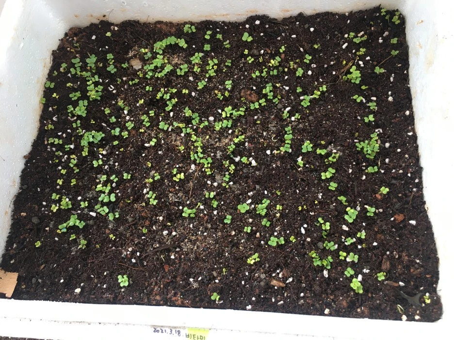 20210328_0375.JPG?type=w1