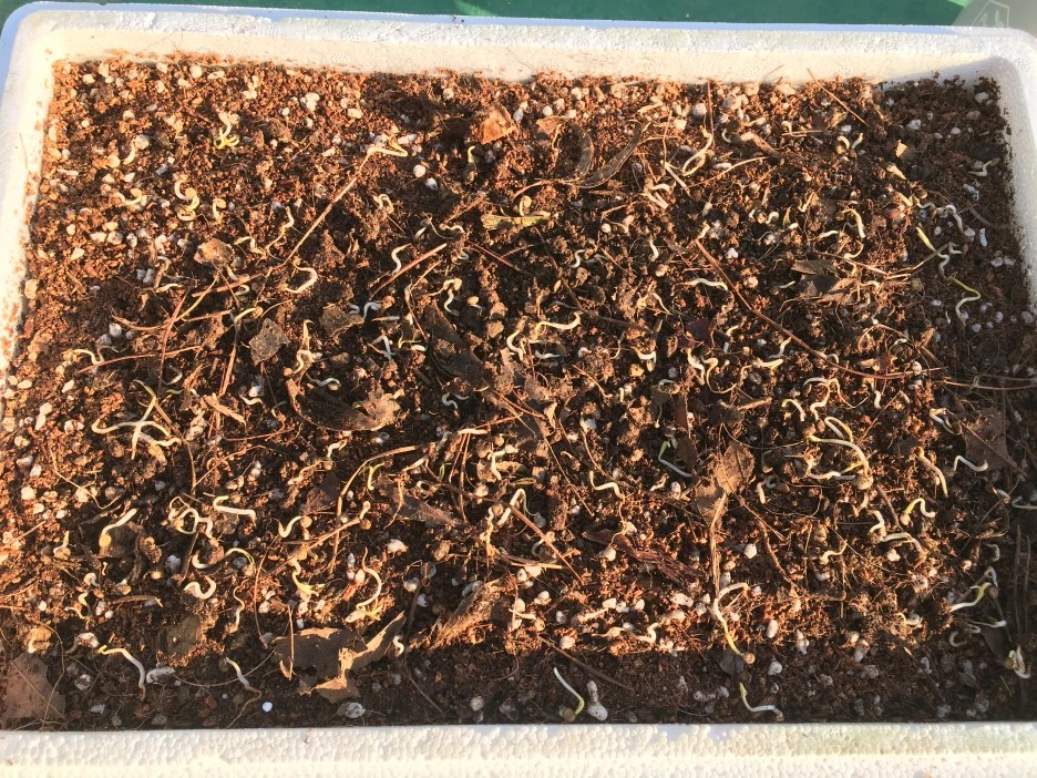 20210414_1067.JPG?type=w1