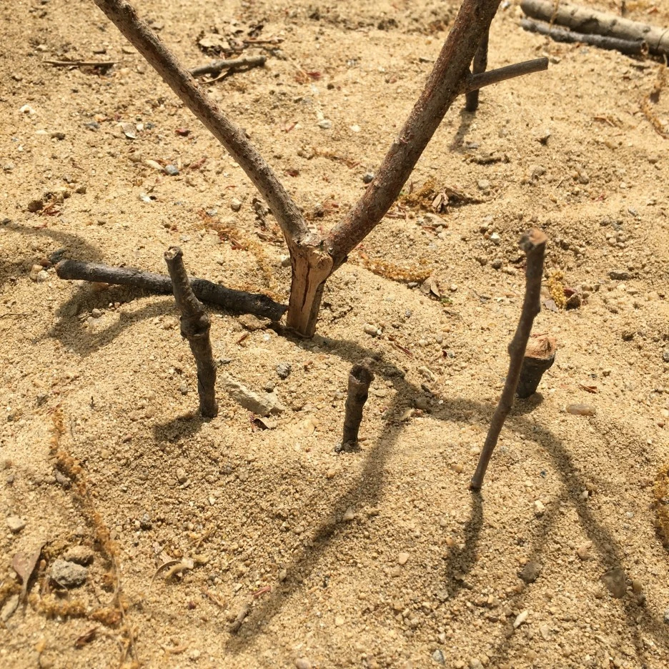 20210428_1131.JPG?type=w1