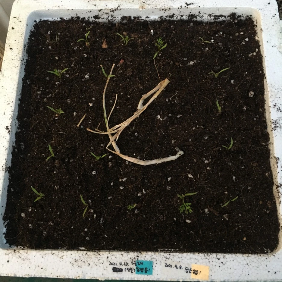 20210505_0081.JPG?type=w1