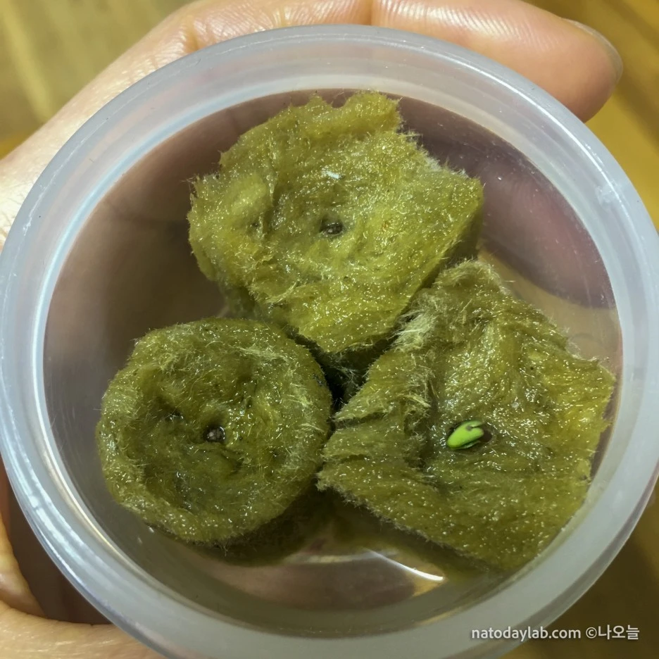 20210228--5.jpg?type=w1